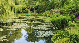 Monet's Pond